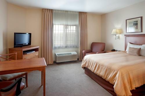 1 queen bed
