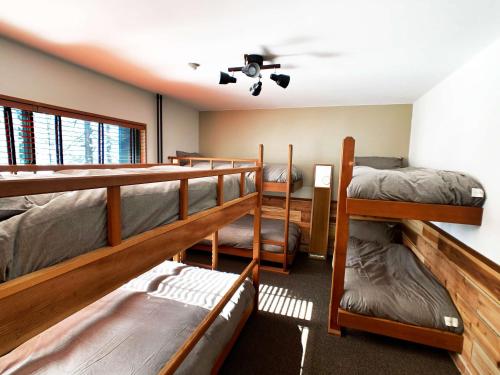 Bed in 6-Bed Dormitory Room