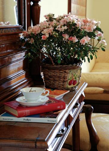 B&B Luna Caprese - image 7