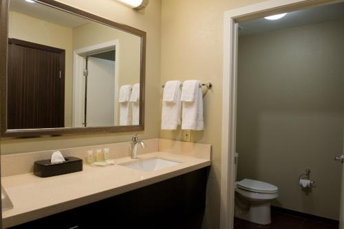Staybridge Suites Houston NW Willowbrook – Houston, TX