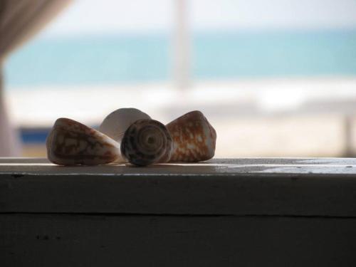 Ca Simona, Sal Rei apartment, Boa Vista, Cape Verde