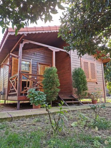 Mercan Bungalow 60 8 2 Updated 2020 Prices Hotel Reviews Cirali Turkey Tripadvisor