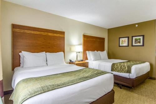 2 queen beds