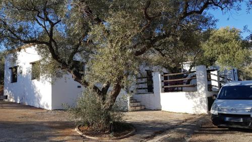 Gateway to the Alpujarras, 'Cortijo Derry' BnB Lanjarón