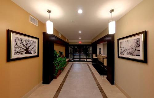 Staybridge Suites Ann Arbor- Research Pkwy