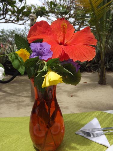 Hotel y Restaurante Bambu