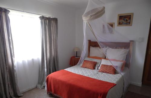 The Hexagon Wildlife Conservation in Uitenhage Farms