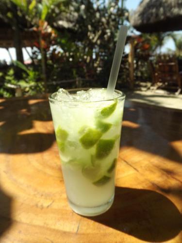 Hotel y Restaurante Bambu