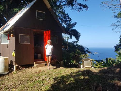 Tony's Offgrid Cabin Getaway