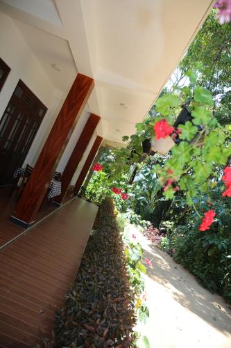 Išorė, The Dream Homestay in Ella