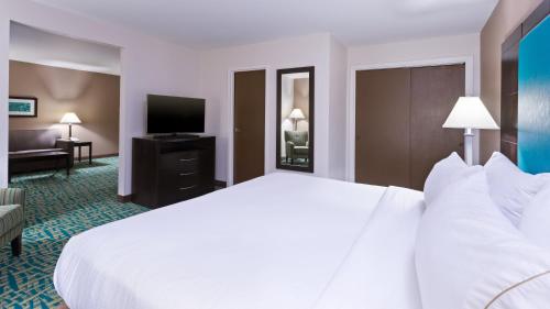 Holiday Inn Express & Suites Wyomissing in Wyomissing (PA)