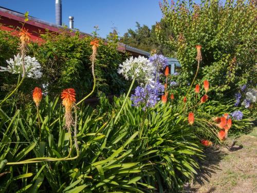 Tapu Bay Treasure - Kaiteriteri Holiday Home