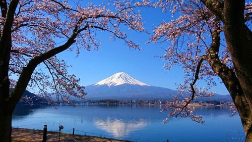 Lake Villa Kawaguchiko