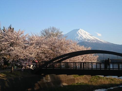 Lake Villa Kawaguchiko