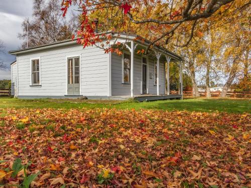 สวน, Kaha Cottage - Rangataua Holiday Home in แรติฮิ