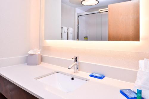 Holiday Inn Express Hotel & Suites Tampa-Anderson Road-Veterans Exp an IHG Hotel - image 4
