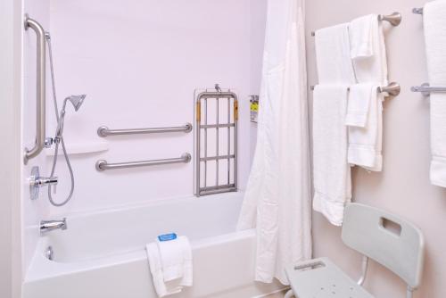 Holiday Inn Express Hotel & Suites Tampa-Anderson Road-Veterans Exp an IHG Hotel - image 6