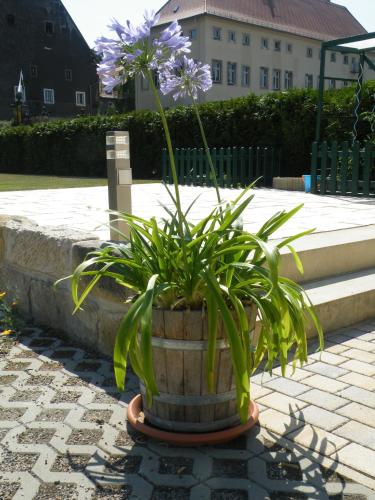 Facilities, Kaitzbach-Idylle in Plauen