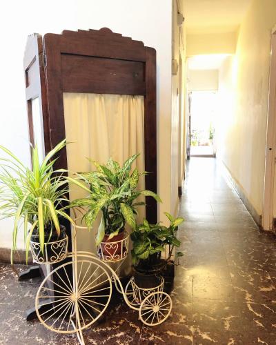 Balcony/terrace, Hotel Paulino in Madgaon