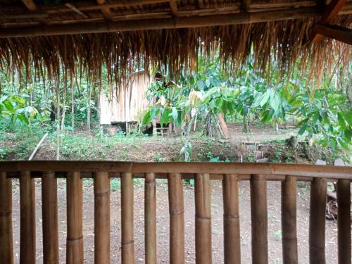 Ecogreen Tetebatu