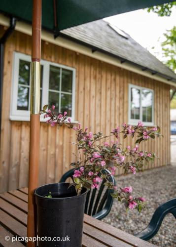 المرافق, Loch Ness Studio Blairbeg in Drumnadrochit Town Center