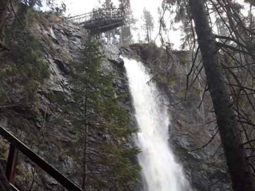 Навколишнє середовище, Loch Ness Studio Blairbeg in Драмнедрочіт