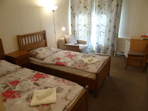 Pension Europa - image 2