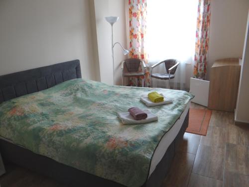 Pension Europa - image 3