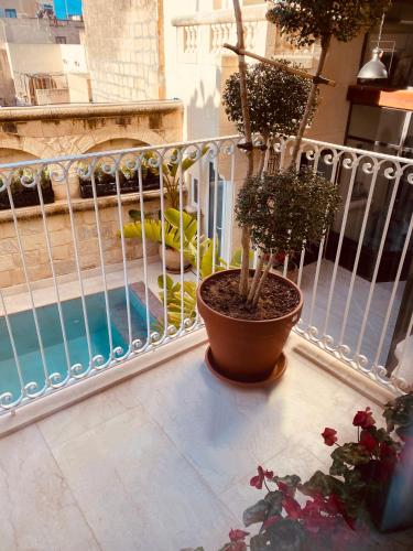 Photo 21 Lulu Boutique Hotel