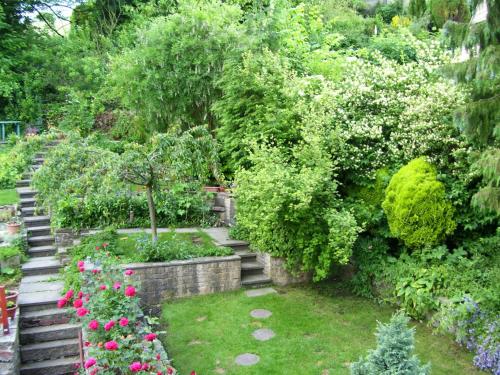 Ellen House Bed and Breakfast
