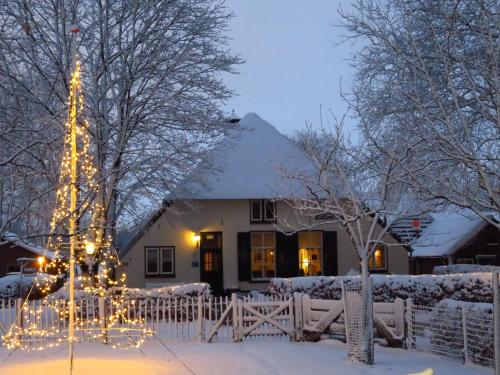 B&B De Willemshoeve - image 4