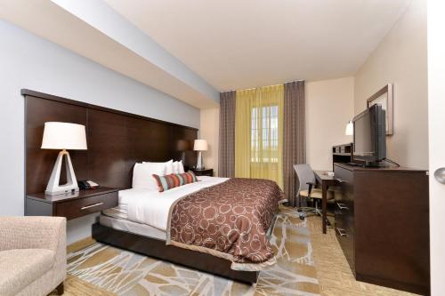 Staybridge Suites San Antonio-Stone Oak an IHG Hotel - image 6