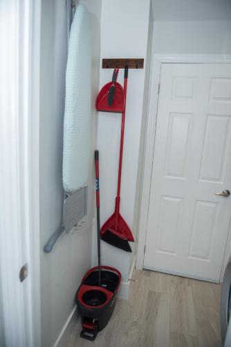 Bright & Cozy One Bedroom Basement Apartment in Toronto