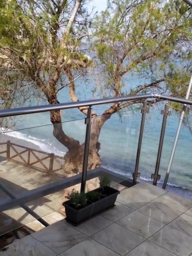 Studio Kostas, Matala (fotografie 10)