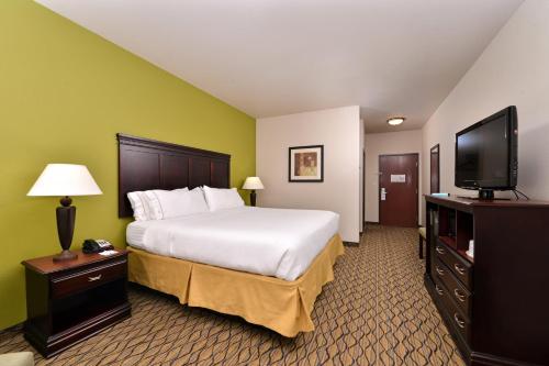 Holiday Inn Express Hotel & Suites Sherman Highway 75