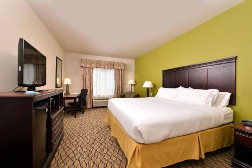 Holiday Inn Express Hotel & Suites Sherman Highway 75