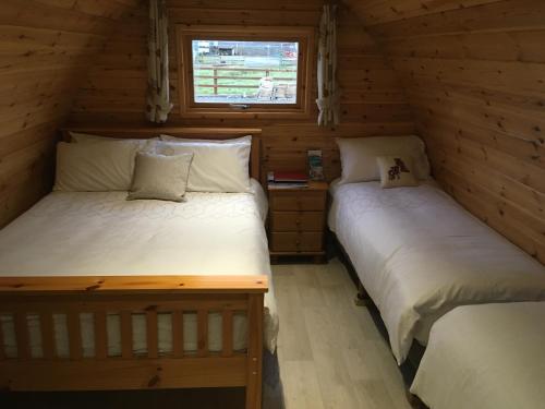 Emlagh, Self Catering Glamping Pods, Kilkee (fotografie 8)