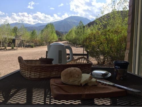Vivi tu mejor experiencia en Potrerillos