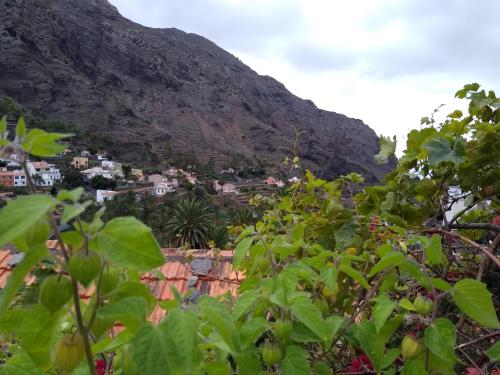  Casa Tigot in Valle Gran Rey