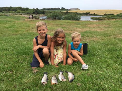 Ellemose Bed and Breakfast in Lemvig