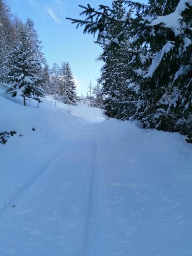 Pila vacanze