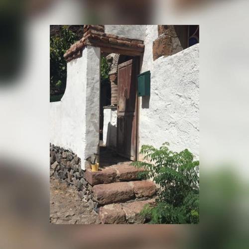 Casa Avocado