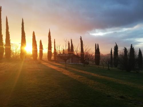 Agriturismo Podere Bianca Maria 5