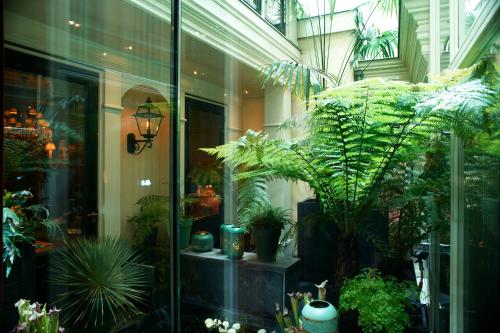 Hotel Estheréa - image 6