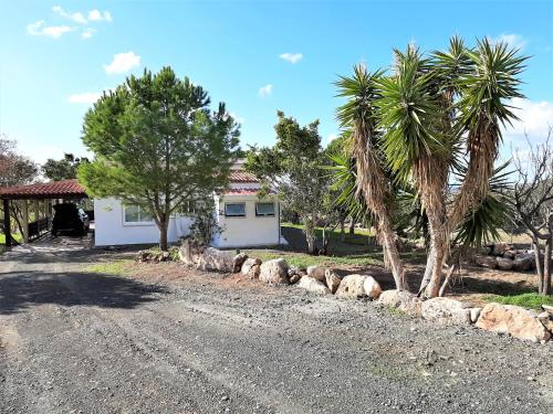 Villa Gavriel - Peyia Villa With Breathtaking Sea View, Peyia Villa With Private Pool, Secluded, Huge Outdoor Space, Mountain Views, Peyia (photo 8)