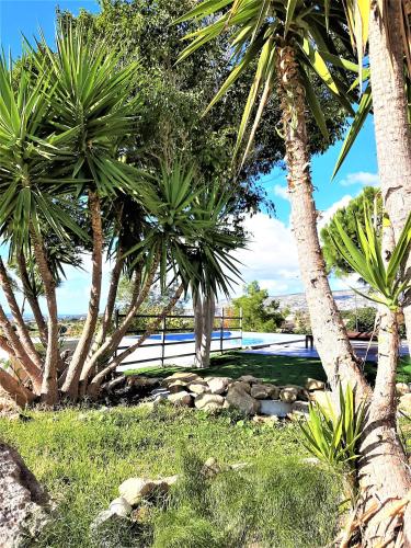Villa Gavriel - Peyia Villa With Breathtaking Sea View, Peyia Villa With Private Pool, Secluded, Huge Outdoor Space, Mountain Views, Peyia (photo 9)