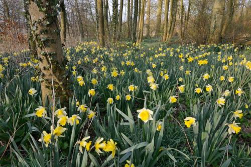 B&B Landgoed Matanze - image 11