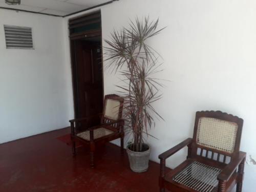 Airport Budget Backpackers Hostel