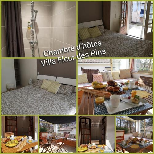 Villa Fleur des Pins - Chambre d'Hôtes LES PINS chambre d'hôte Gujan-Mestras