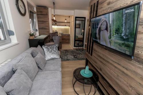Deluxe Apartment image 10